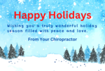 Happy Holidays - Wishing you a truly wonderful holiday season ... 